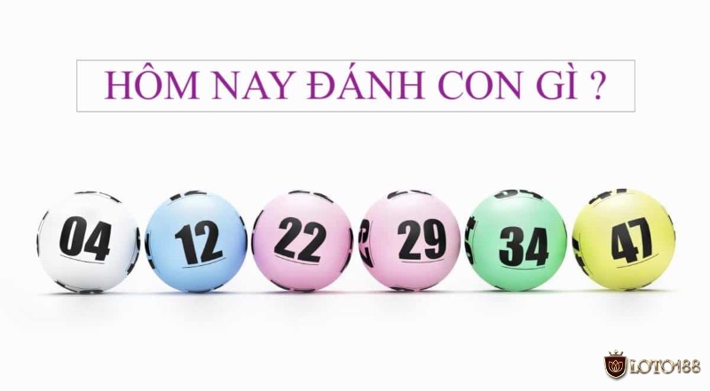 Giải đáp những thắc mắc phổ biến giúp người chơi hiểu rõ hơn các quy luật khi dự đoán đề về 07 hôm sau đánh lô con gì.