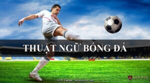 Tỷ lệ kèo phạt góc: Hướng dẫn đọc, phân tích và quản lý rủi ro